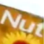 NUT